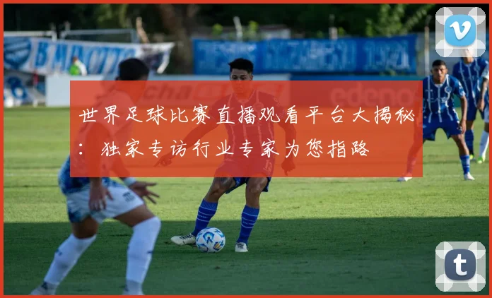世界足球比赛直播观看平台大揭秘:独家专访行业专家为您指路
